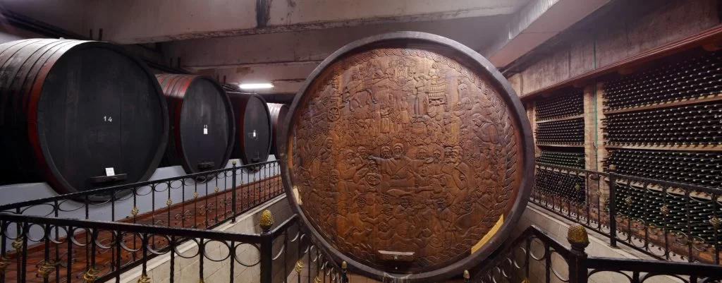 Erdutski Vinogradi i Baranja – Raj za Ljubitelje Vina